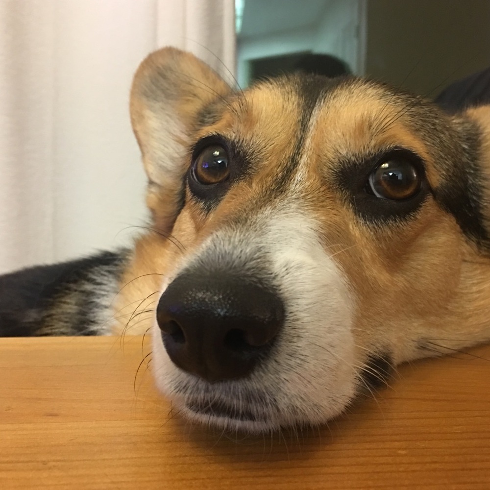 Meet your Posher, Jia